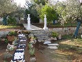 dsc02779